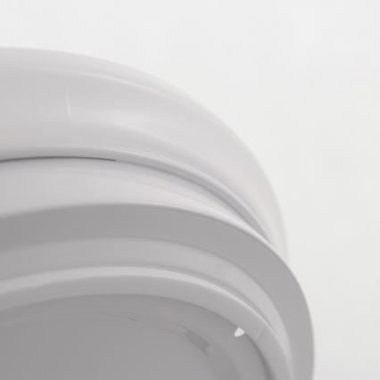 LED kupatilsko plafonsko svetlo ADAR LED/17W/230V IP44 4000K