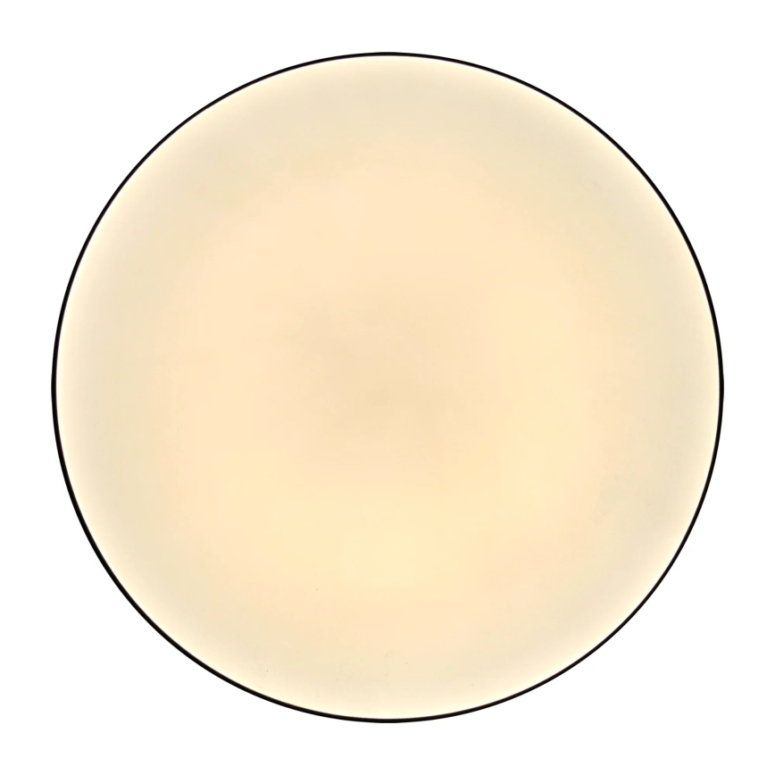 LED kupatilsko plafonsko svetlo MOON LED/18W/230V crna IP44