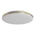 LED kupatilsko stropno svetlo BEVER LED/16W/230V 4000K Ø 33 cm IP44
