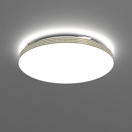 LED kupatilsko stropno svetlo BEVER LED/16W/230V 4000K Ø 33 cm IP44