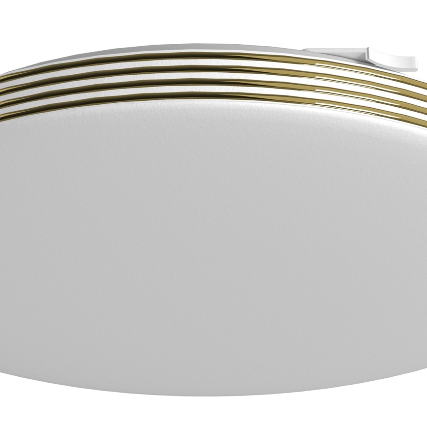 LED kupatilsko stropno svetlo BEVER LED/16W/230V 4000K Ø 33 cm IP44