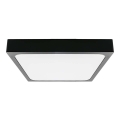 LED kupatilsko stropno svetlo LED/30W/230V 6500K IP44 42x42 cm crna