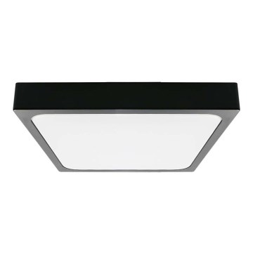 LED kupatilsko stropno svetlo LED/30W/230V 6500K IP44 42x42 cm crna