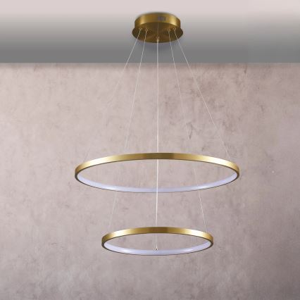 LED luster LEA na sajli, 35 W, 230 V, 4000 K, prečnik 60 cm, zlatna