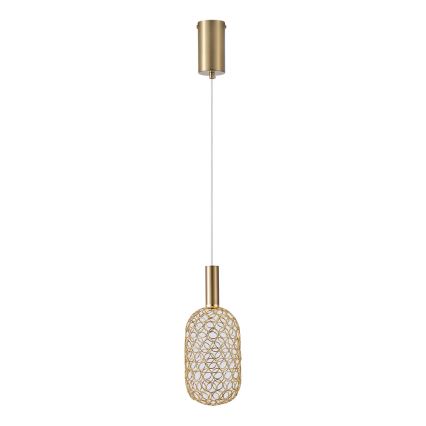 LED luster na lanku PERFORATO LED/6,3W/230V 3000K zlatna, prečnik 13 cm