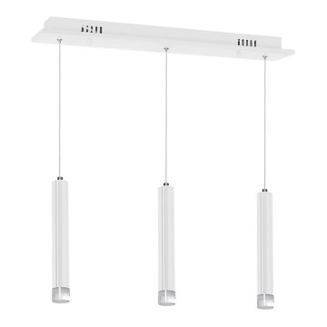 LED luster na sajli ALBA 3xLED/15W/230V, bela