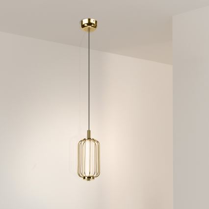 LED luster na sajli BONNIE LED/10W/230V 3000K zlatni