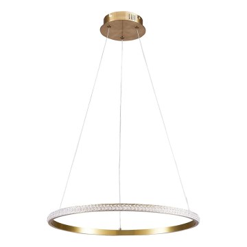 LED luster na sajli DIANA LED/25W/230V 4000K, prečnika 50 cm, zlatna