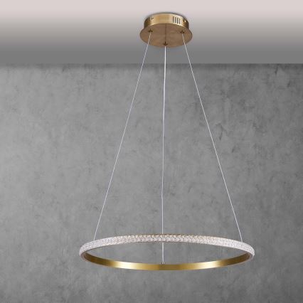LED luster na sajli DIANA LED/25W/230V 4000K, prečnika 50 cm, zlatna