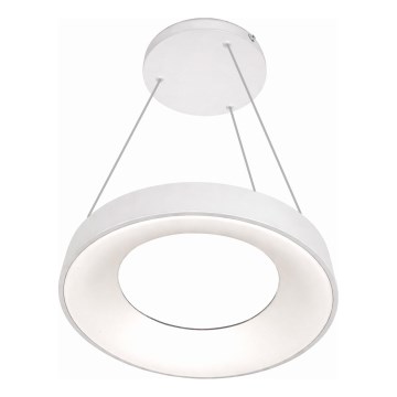 LED luster na sajli DRAX LED/32W/230V 4000K prečnik 38 cm beli