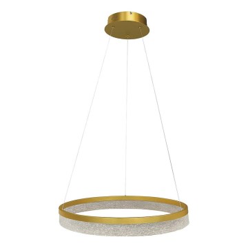 LED luster na sajli GALA LED/25W/230V prečnik 50 cm zlatna