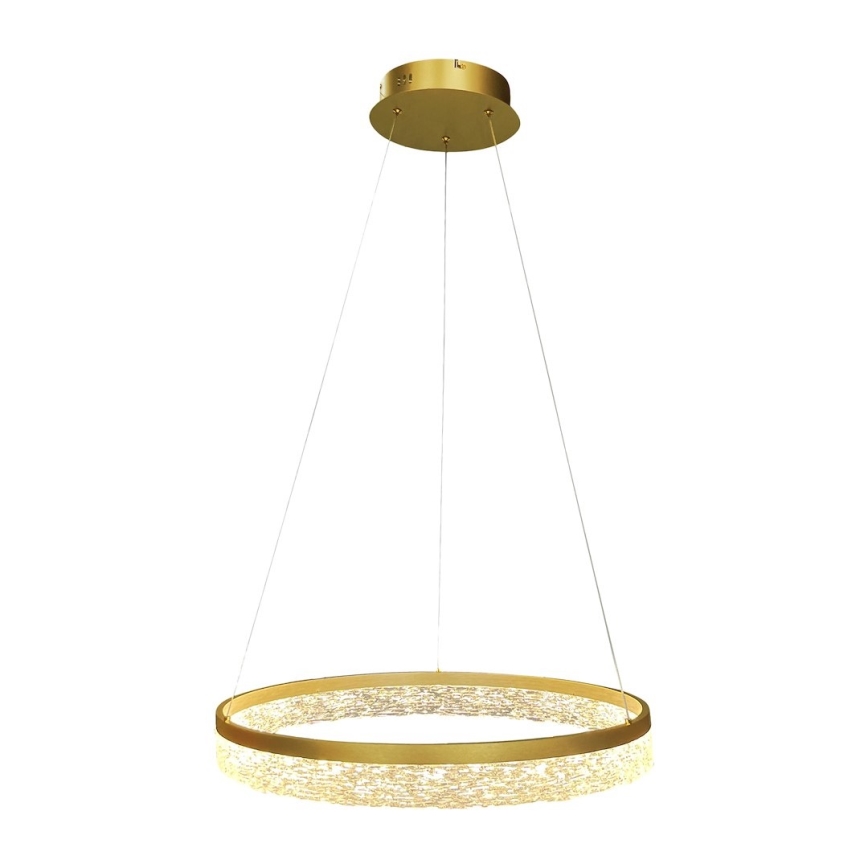LED luster na sajli GALA LED/25W/230V prečnik 50 cm zlatna
