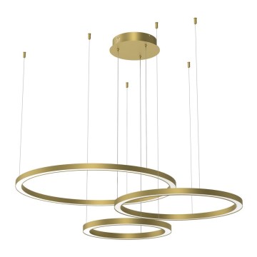 LED luster na sajli GALAXIA LED/85W/230V zlatni