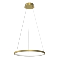 LED luster na sajli HOOP LED/27W/230V, prečnik 50 cm, 4000K, zlatan