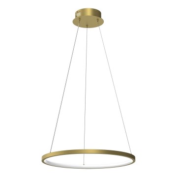LED luster na sajli HOOP LED/27W/230V, prečnik 50 cm, 4000K, zlatan
