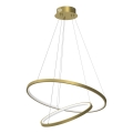 LED luster na sajli HOOP LED/51W/230V prečnik 60 cm 4000K zlatni