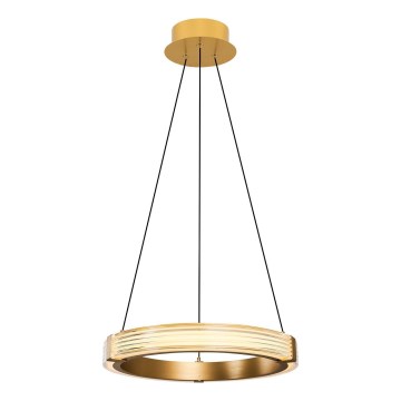 LED luster na sajli JESI LED/22W/230V 3000K Ø 40 cm zlatna