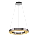 LED luster na sajli JESI LED/35W/230V 3000K preč. 60 cm srebran