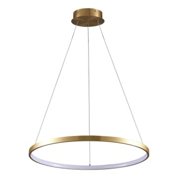 LED luster na sajli LEA LED/20W/230V 4000K prečnik 50 cm zlatna
