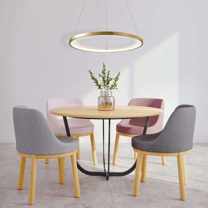 LED luster na sajli LEA LED/20W/230V 4000K prečnik 50 cm zlatna