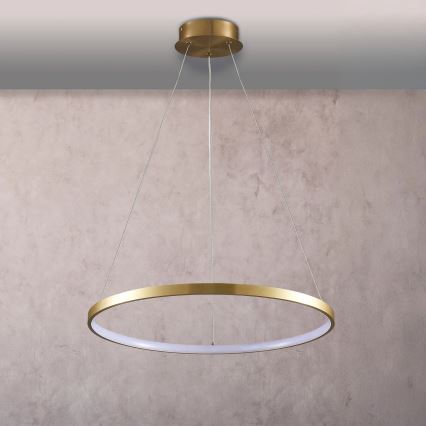LED luster na sajli LEA LED/20W/230V 4000K prečnik 50 cm zlatna