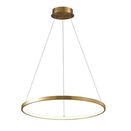 LED luster na sajli LEA LED/20W/230V 4000K prečnik 50 cm zlatna