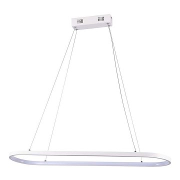LED luster na sajli LED/24W/230V 3000K bela