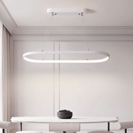 LED luster na sajli LED/24W/230V 3000K bela