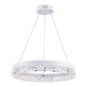 LED luster na sajli LED/25W/230V 3000K prečnik 50 cm bela