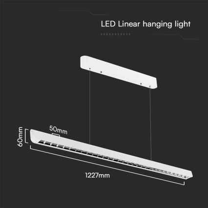 LED luster na sajli LED/36W/230V 3000/4000/6400K bela