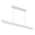 LED luster na sajli LED/36W/230V 3000/4000/6400K beo