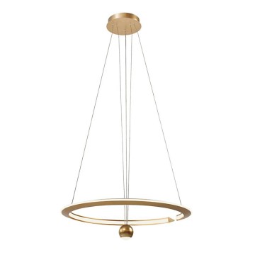 LED luster na sajli LED/45W/230V 3000K prečnik 62 cm zlatna