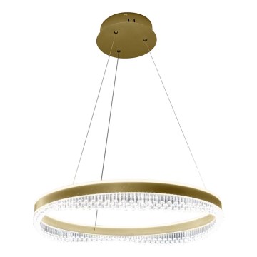 LED luster na sajli LED/52W/230V prečnika 60 cm zlatni