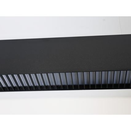 LED luster na sajli LED/55W/230V 3000/4000/6500K 120 cm crna