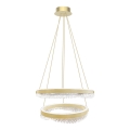 LED luster na sajli LED/85W/230V, prečnik 60 cm, zlatna