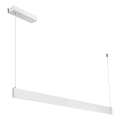 LED luster na sajli LINEA LED/36W/230V 3000/4000/5700K CRI 90 bela