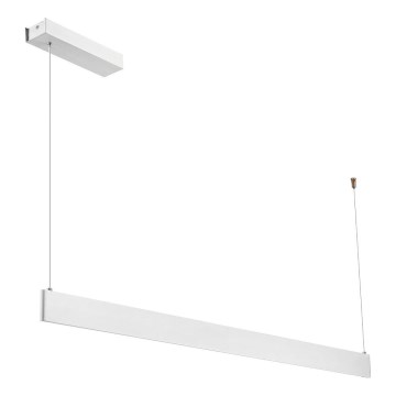 LED luster na sajli LINEA LED/36W/230V 3000/4000/5700K CRI 90 bela