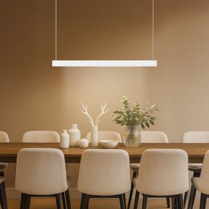LED luster na sajli LINEA LED/36W/230V 3000/4000/5700K CRI 90 bela