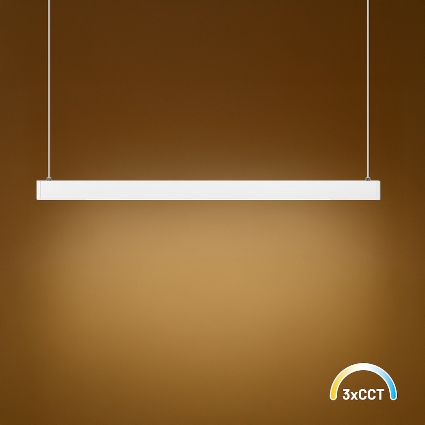 LED luster na sajli LINEA LED/36W/230V 3000/4000/5700K CRI 90 bela