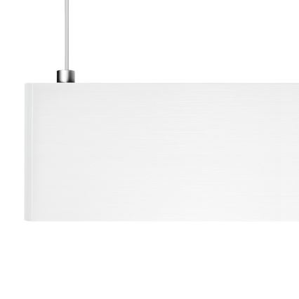 LED luster na sajli LINEA LED/36W/230V 3000/4000/5700K CRI 90 bela