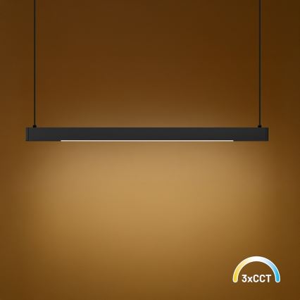 LED luster na sajli LINEA LED/36W/230V 3000/4000/5700K CRI 90 crna