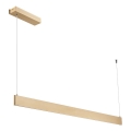 LED luster na sajli LINEA LED/36W/230V 3000/4000/5700K CRI 90 zlatna