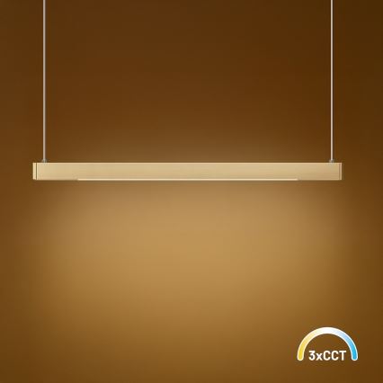 LED luster na sajli LINEA LED/36W/230V 3000/4000/5700K CRI 90 zlatna
