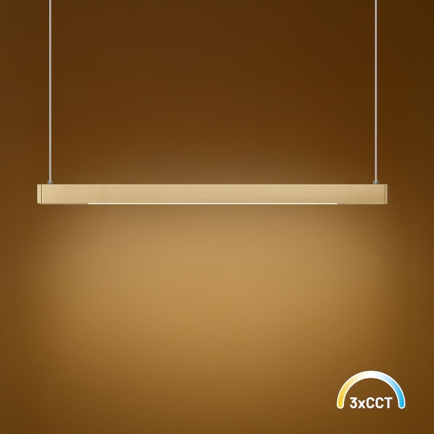 LED luster na sajli LINEA LED/36W/230V 3000/4000/5700K CRI 90 zlatna