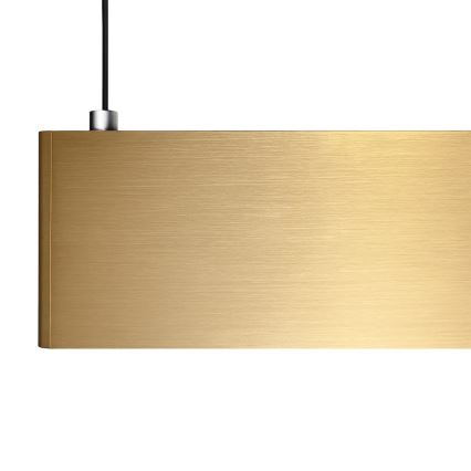 LED luster na sajli LINEA LED/36W/230V 3000/4000/5700K CRI 90 zlatna