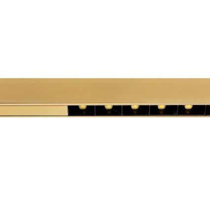 LED luster na sajli LINEA LED/36W/230V 3000/4000/5700K CRI 90 zlatna