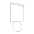 LED luster na sajli LOOP LED/20W/230V bela