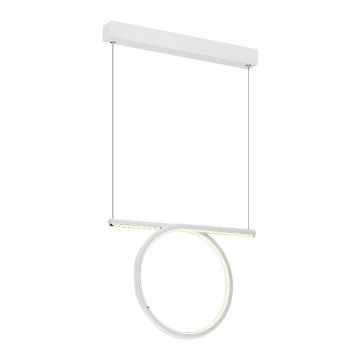 LED luster na sajli LOOP LED/20W/230V bela