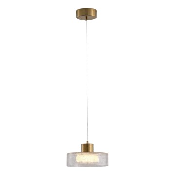 LED luster na sajli NIMBUS LED/8W/230V 3000K zlatna/prozirna, prečnik 20 cm