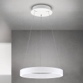 LED luster na sajli, prigušiva KOLK LED/40W/230V 2700/3000/4000K prečnik 40 cm, bela